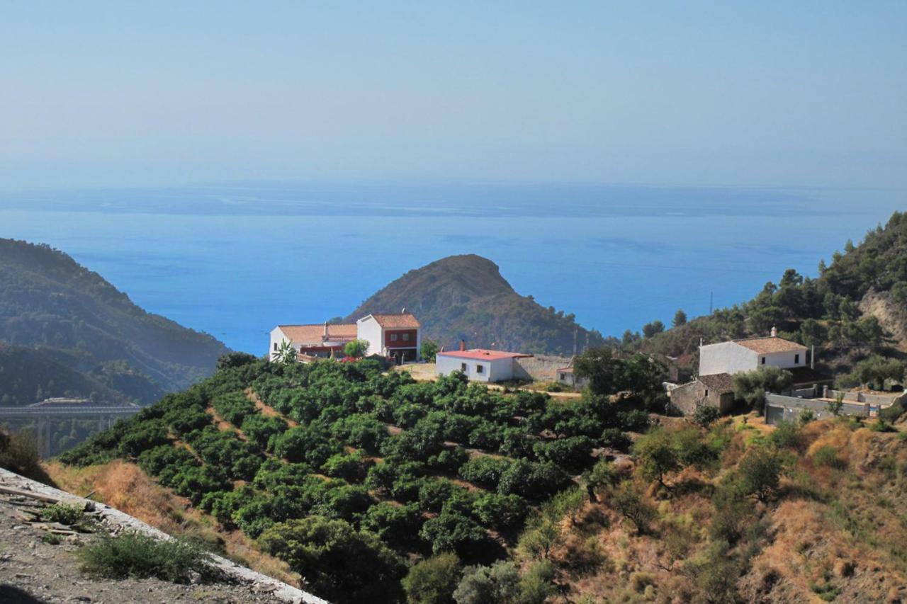 Villa Francisca Malaga Exterior photo